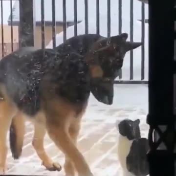 Calm down babes I know am handsome 🤣😍