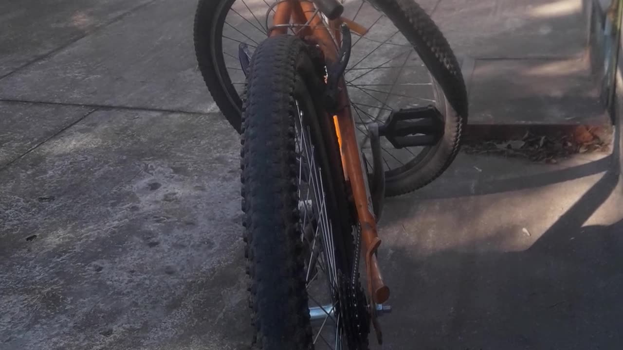 My Big Orange Bike