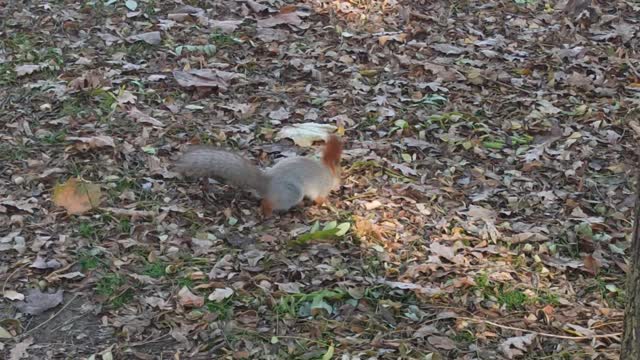 An amazing find during a morning walk.