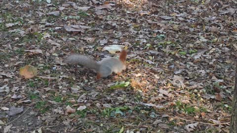 An amazing find during a morning walk.
