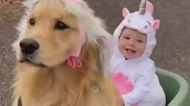 FUNNY DOG Videos 🤣 LAUGH at FUNNY DOGS compilation