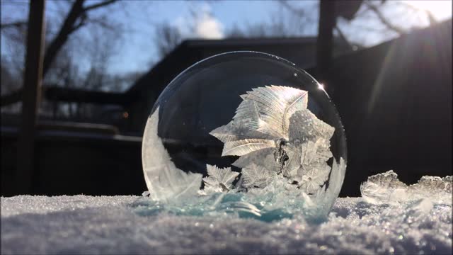 Photos by Dollie- Frozen Bubble #1