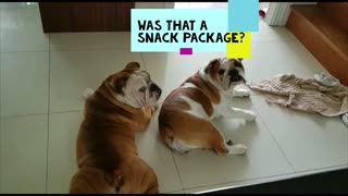 Snacks??!?? Nope.... zzzz