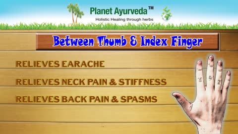 Top 8 Most Important Acupressure Points & Health Benefits