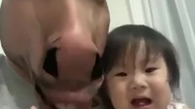Funny 😃 video | comedy video