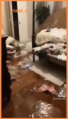 Water pipes breaking and destroying homes in Texas