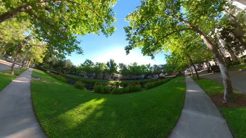 Celebration Florida (short Version)