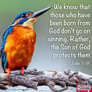 Nighttime Prayer against Sin #youtubeshorts #grace #jesus #mercy #faith #fyp #blessed #trust #love