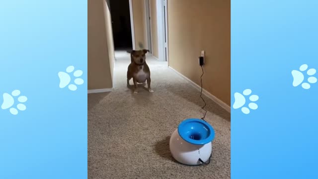 Where did the ball go?
