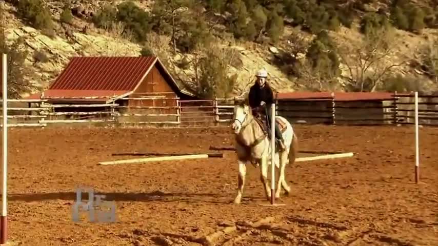 Elite_Human_Trafficking_Vol_4_Dr_Phil's_TURN_ABOUT_RANCH