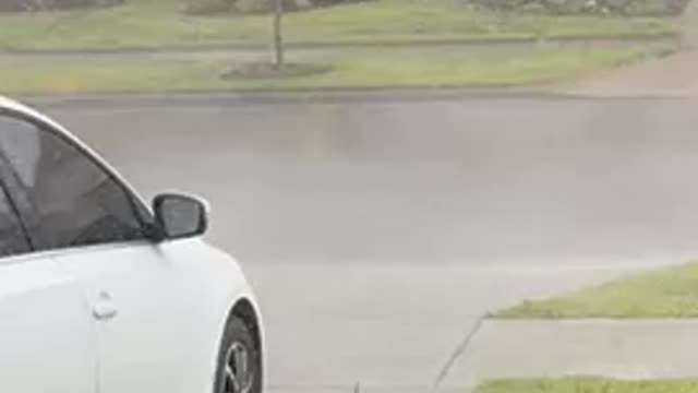 Summer rain.