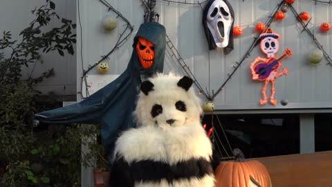 Halloween props at a Korean camping site