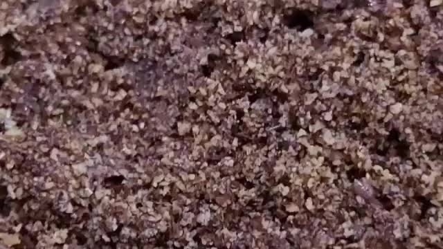 Flax Seeds: Buy Flax Seeds Online of Best Quality | Himalayan Natives