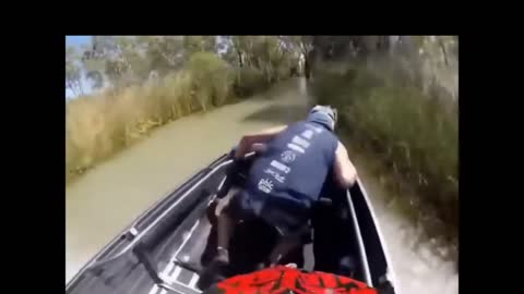 Crazy boat crash into tree