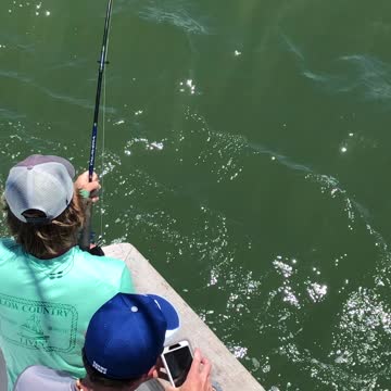 Caught a Sea Turtle!!