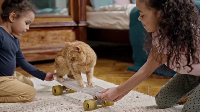 Kids Playing With Their Cat On A Skateboard