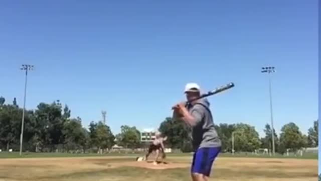 BASEBALL BALL IN FACE - FUNNY SCARTS. TRY NOT TO LAUGH