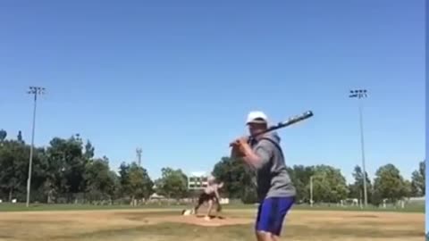 BASEBALL BALL IN FACE - FUNNY SCARTS. TRY NOT TO LAUGH