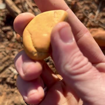 Mound Destruction @ Mabila Complex 2