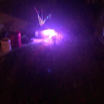 My little Christmas tree