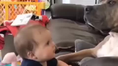 AWW Animals SOO Cute! Cute baby animals Videos - Funniest and Cutest moment