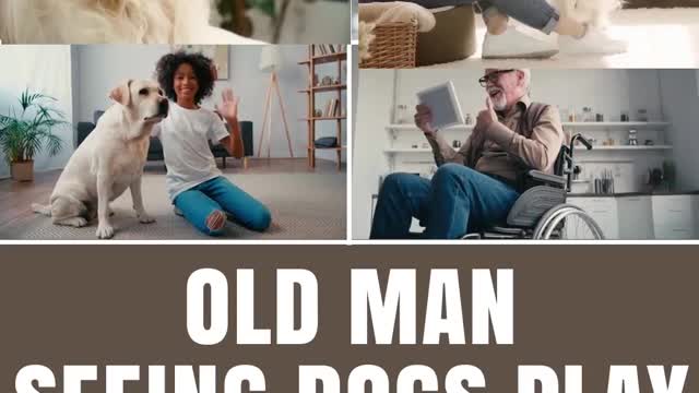 Old man seeing dogs play #shorts #trending #tiktok #cat #video #shortsfeed #viralshort #shortfeed