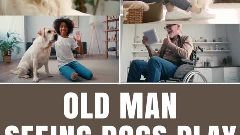 Old man seeing dogs play #shorts #trending #tiktok #cat #video #shortsfeed #viralshort #shortfeed