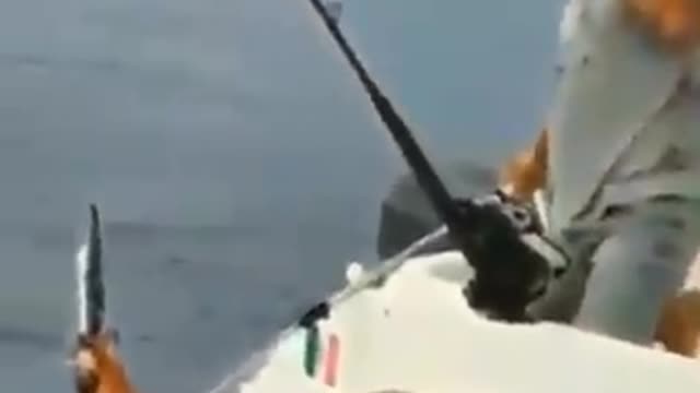 Watch how they manged to catch the GIANT SQUID