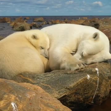 Mom and baby day napping 😊