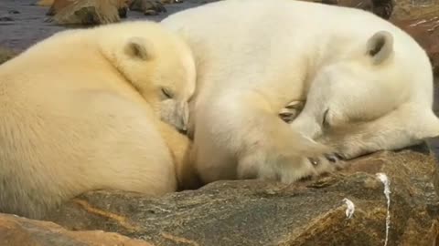 Mom and baby day napping 😊