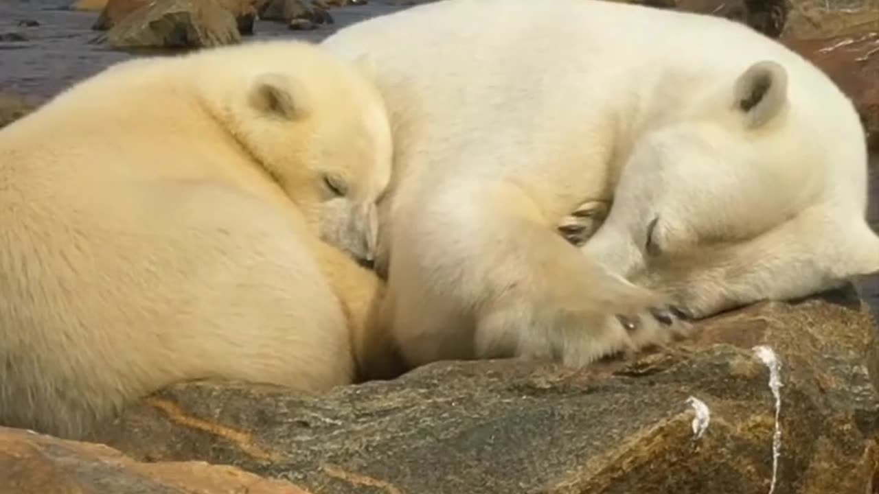 Mom and baby day napping 😊