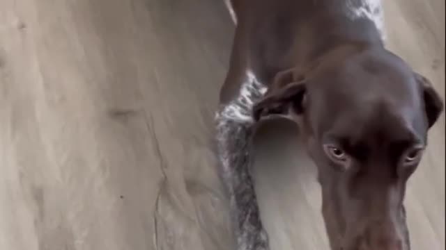 The weekend is clearly here.