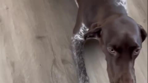 The weekend is clearly here.