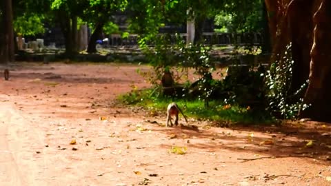 Omg, Too Much Strong