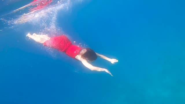 Beauty in the sea