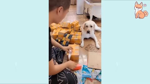 Awesome and funny videos with baby dogs