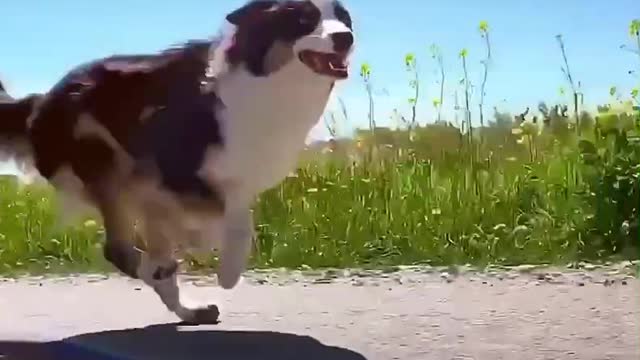 What are you chasing, running so hard