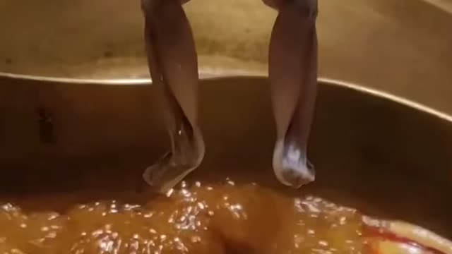 # 🐔 🐔 chicken funny videos