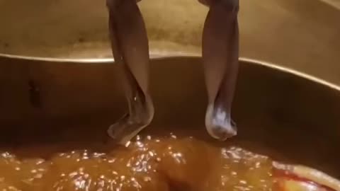# 🐔 🐔 chicken funny videos