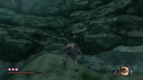 Sekiro Shadows Die Twice,Sekiro Great Colored Carp Boss Fight