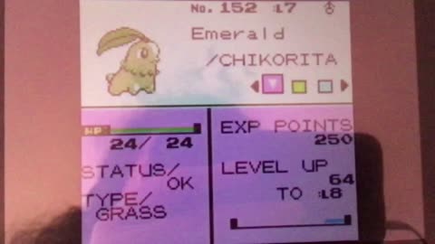 Chikorita Leaf Twirl