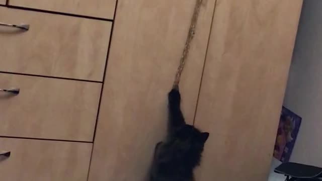 Sorry human this is mine now