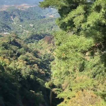 Very Beautiful and Very Dangerous