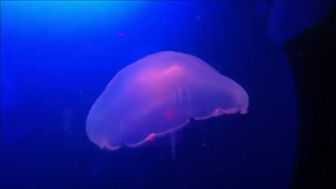 Underwater