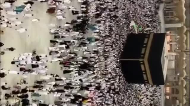 The most beautiful two on Tik Tok - the Egyptian and the foreigner