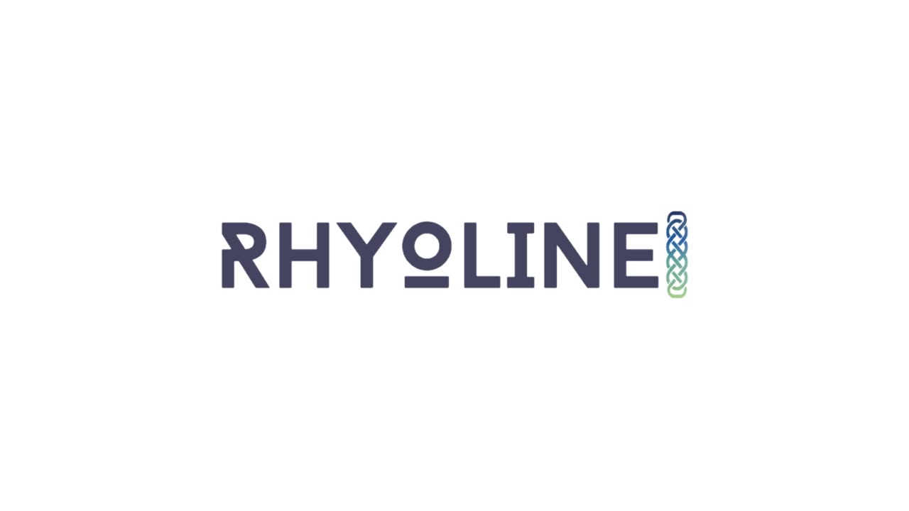 Rhyoline Short - US income taxes.
