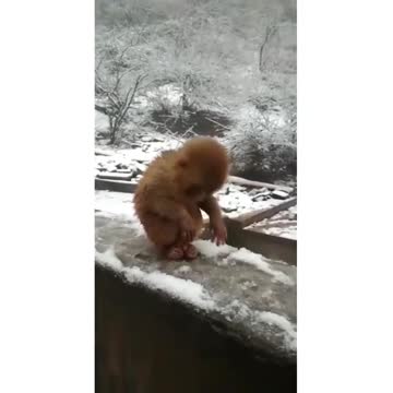 Would you take him home?