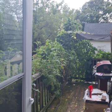 Hanging Garden Aug. 10,2021