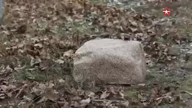 Stealth Drone Hidden as a Rock