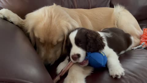 Ashlyn & Link - Being Sweet On The Couch